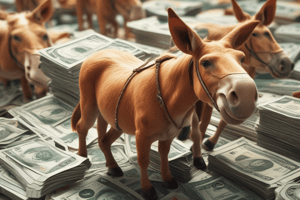 Understanding Money Mules in Know Your Customer