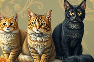 History and Breeds of Cats