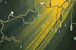 Parallel Circuits and Current Flow