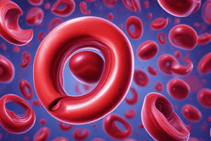 Hemapatology: Red Blood Cell