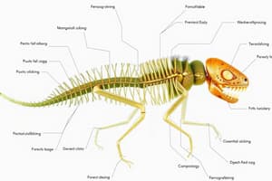 Biology: Classifying Organisms Flashcards