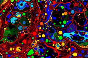 Tema 1 Panorama del Metabolisme Intermediari