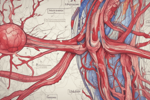 Vascular Disease