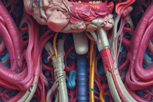 Respiratory System