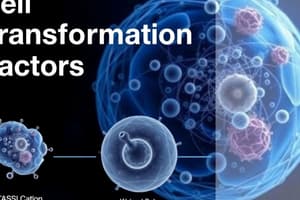 Cell Transformation Factors Processes