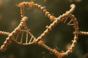 Structure of Chromosome