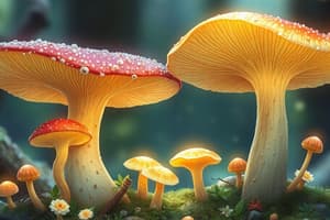 Introduction to Mycology and Fungi