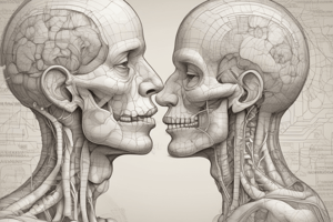 Respiratory System Anatomy Quiz