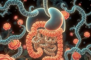 Digestive System: Macromolecules Overview