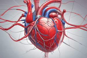 Cardiovascular Physiology Quiz