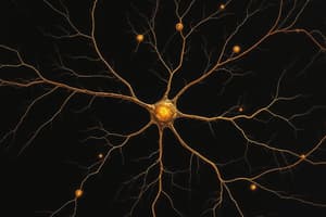 Neuroscience Chapter 12 - Classification of Neurons