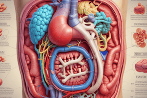 Digestive System Structures and Functions Quiz