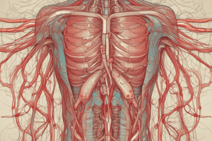 Lymphatic System and Blood Circulation