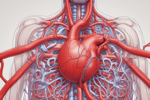 Cardiovascular System