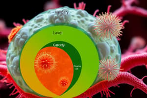 Biology Levels of Organization