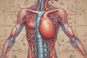 Pharmacology of Peripheral Vasodilators