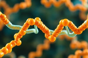 Amino Acids and Protein Synthesis Quiz