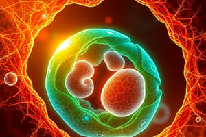 Cell Cycle and Mitosis Quiz