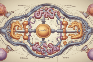 Amino Acid Pool Regulation