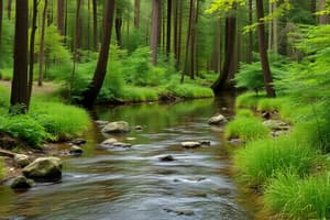 Water and Forests Quiz