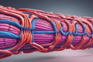 Muscle Physiology and Mass vs. Weight Quiz