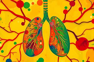 Cellular Respiration Overview