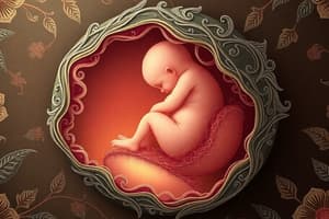 Embryologie Générale - Partie 3 : Fœtus et Placenta