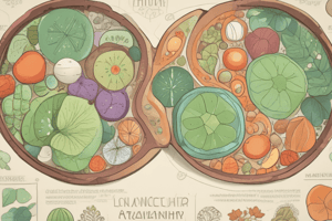 Deficiency of Essential Fatty Acids (EFA)