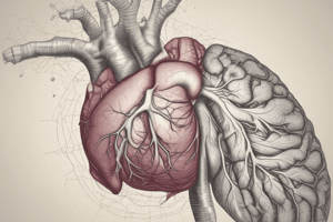 Upper GI Anatomy