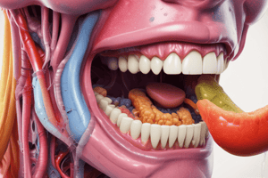 Appetite Control and Oral Cavity Anatomy