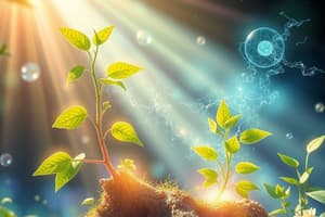 Photosynthesis Basics