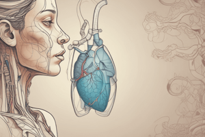 Respiratory System: Gas Exchange and Cardiovascular Link