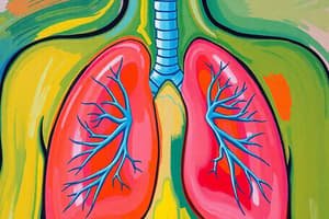 Respiratory System Overview