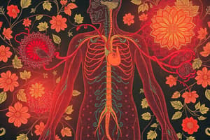 Circulatory System Overview