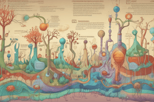 Gluconeogenesis Pathway and Reactions