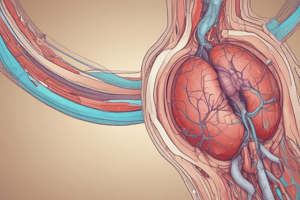 Emergencias Sanitarias: Anatomía y Fisiología del Aparato Urinario