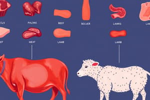 Meat Types and Composition