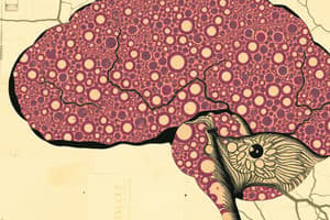 Connective Tissue Cells Quiz