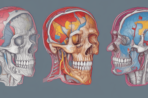 CT Scan Purpose and Technique