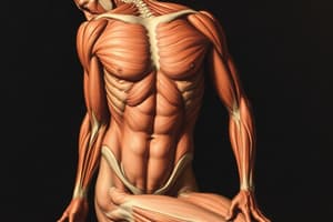 Muscle Types and Disorders Quiz