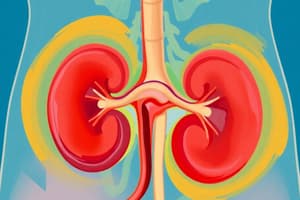 Nephron Function and Urine Composition