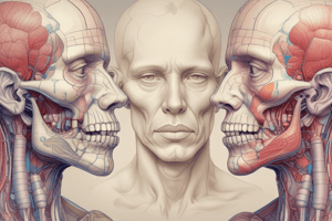 Salivary Glands Anatomy and Function