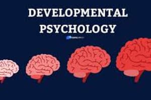 Developmental Psychology (all notes)