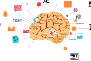 Connection Between Brain and Language