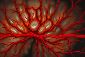 Pericytes and the Blood-Brain Barrier