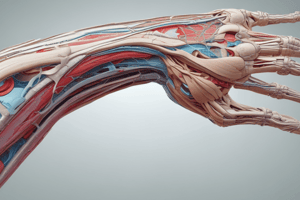 Upper Limb Neuroanatomy Quiz