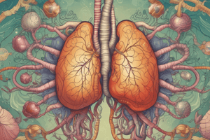 Respiratory Pathology 1