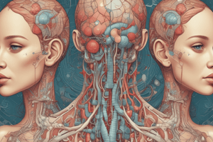 Endocrine System