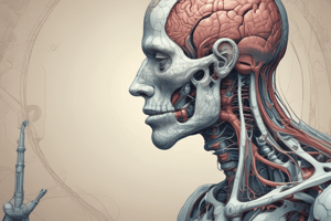 Lecture 8:Anatomy of Semicircular Canals