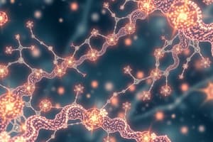 Biochemistry Neurotransmitters Quiz